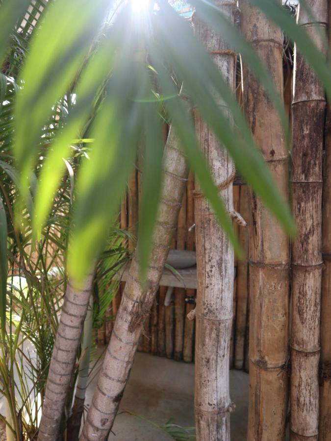 Steffi'S Mandala Otel Hikkaduwa Dış mekan fotoğraf